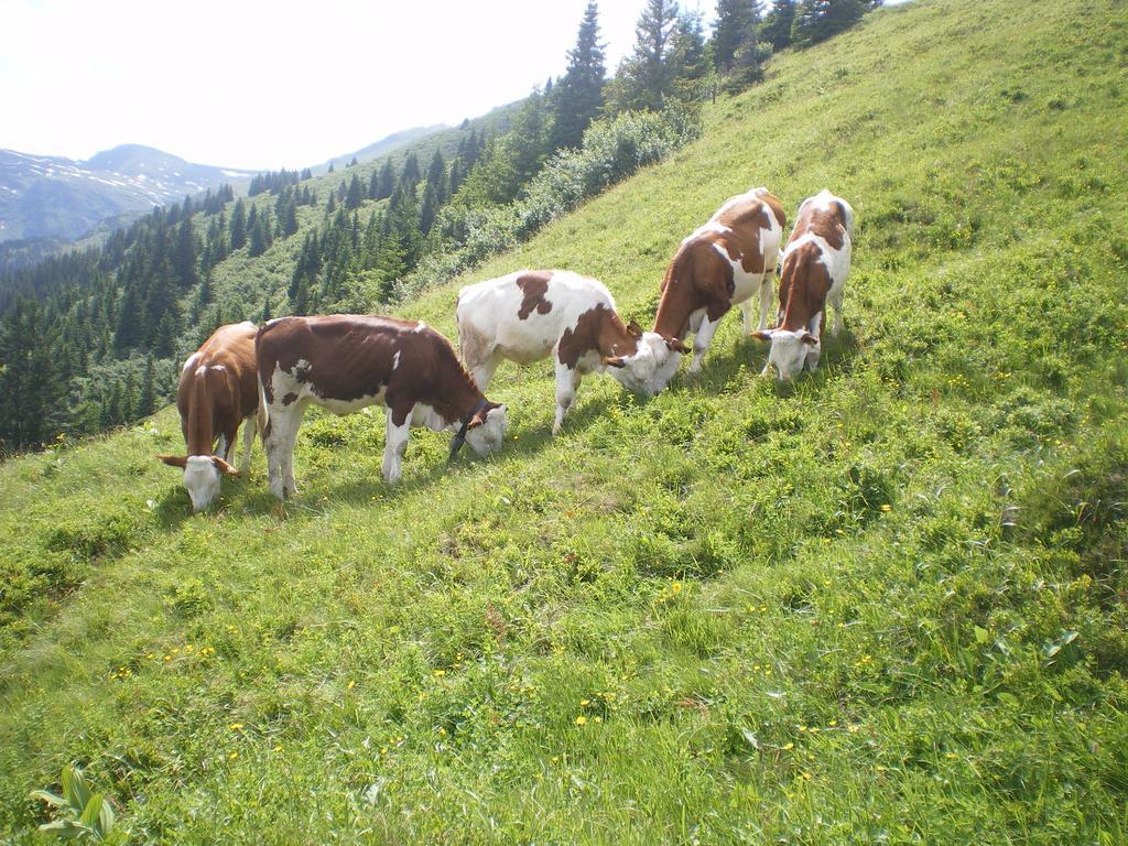 Biobauernhof Aslgut Vila Bad Hofgastein Exterior foto